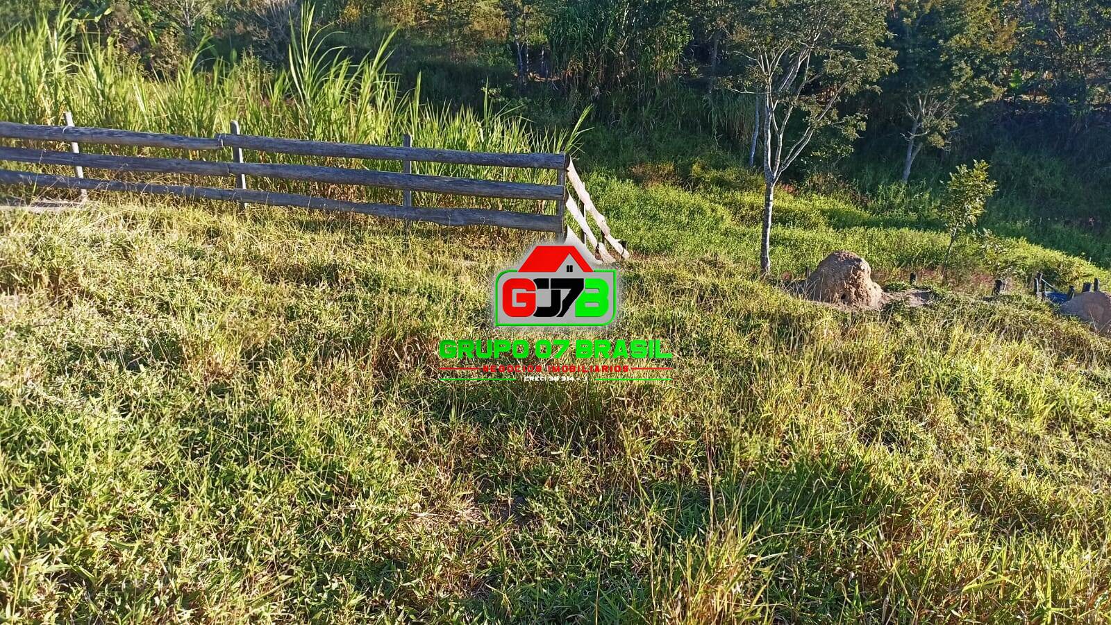 Terreno, 3 hectares - Foto 12