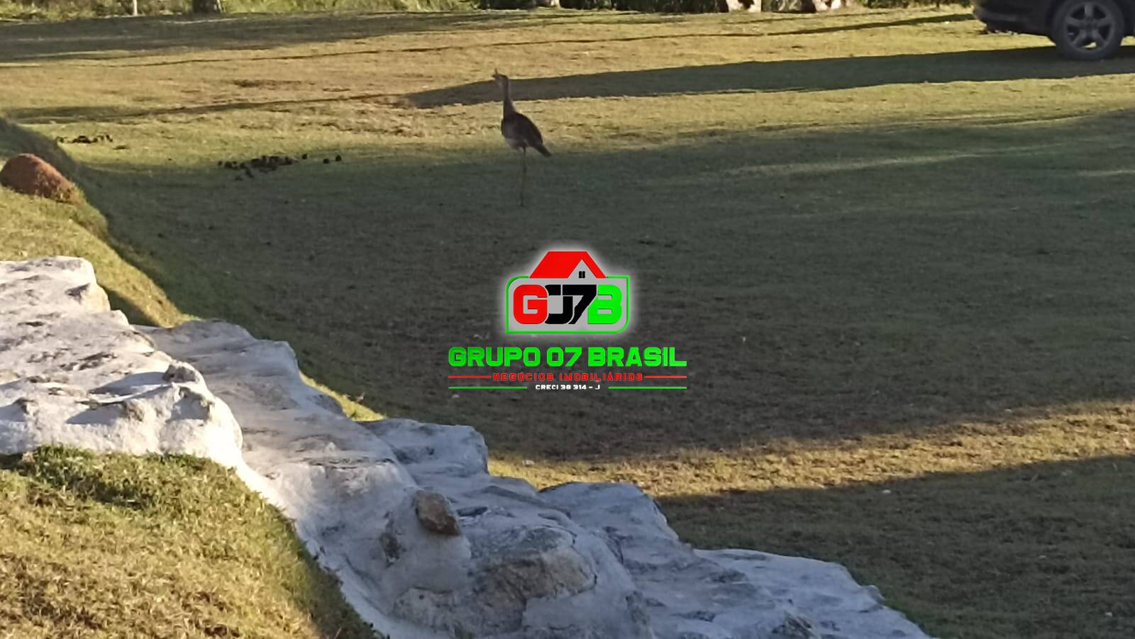 Terreno, 3 hectares - Foto 14