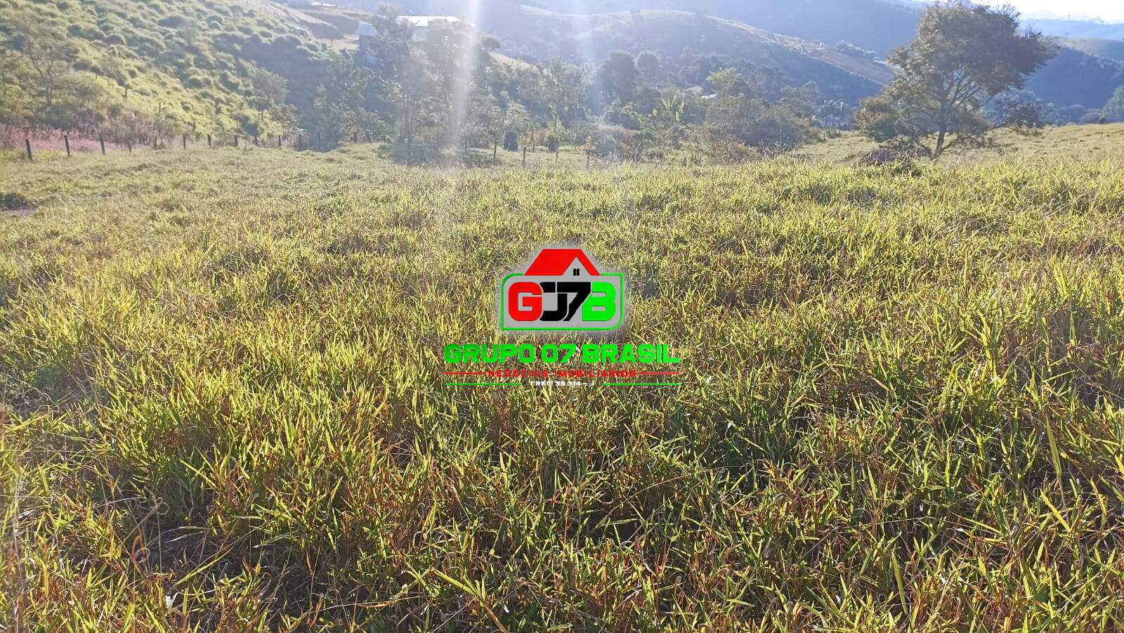 Terreno, 3 hectares - Foto 23
