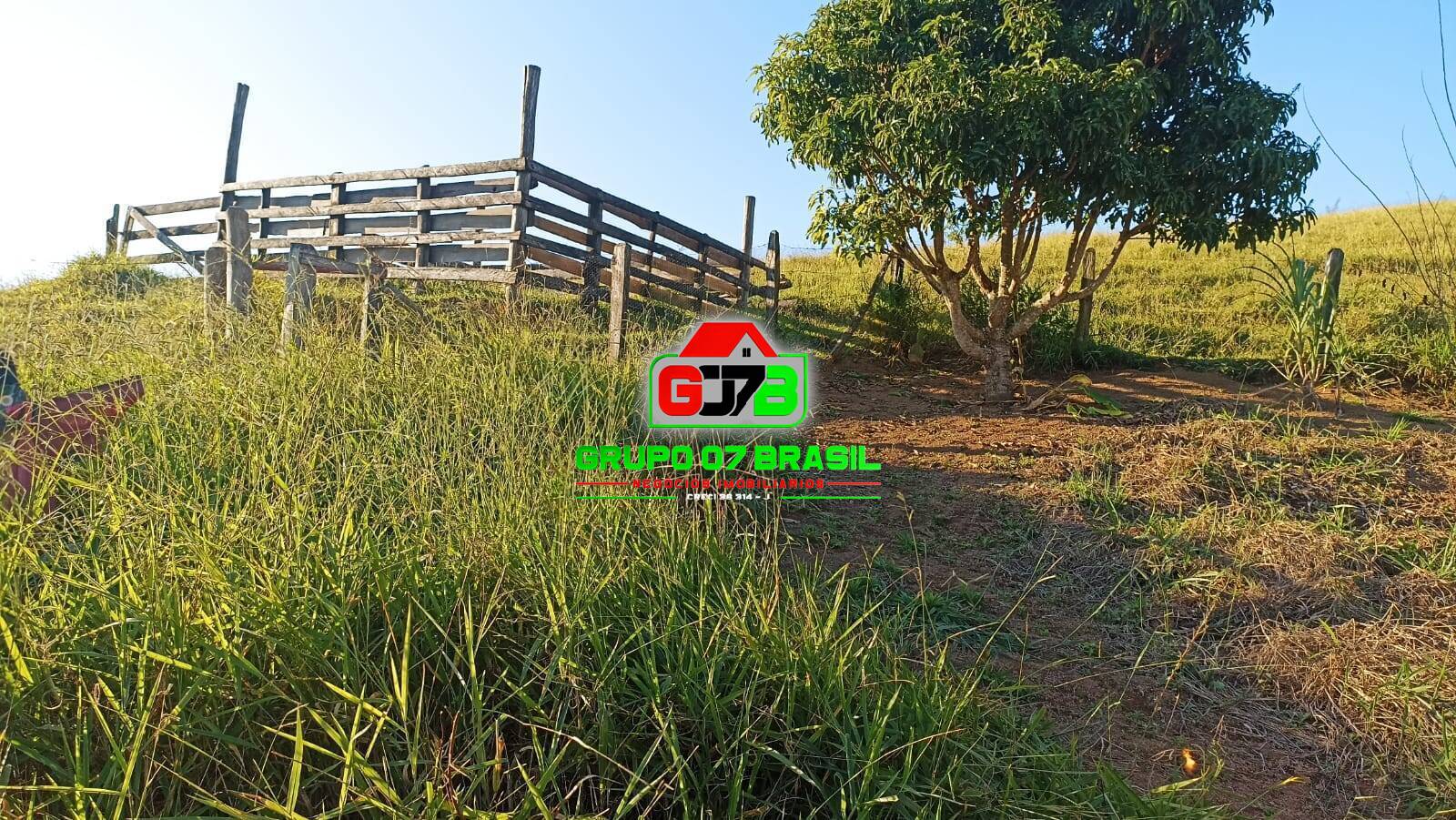 Terreno, 3 hectares - Foto 24