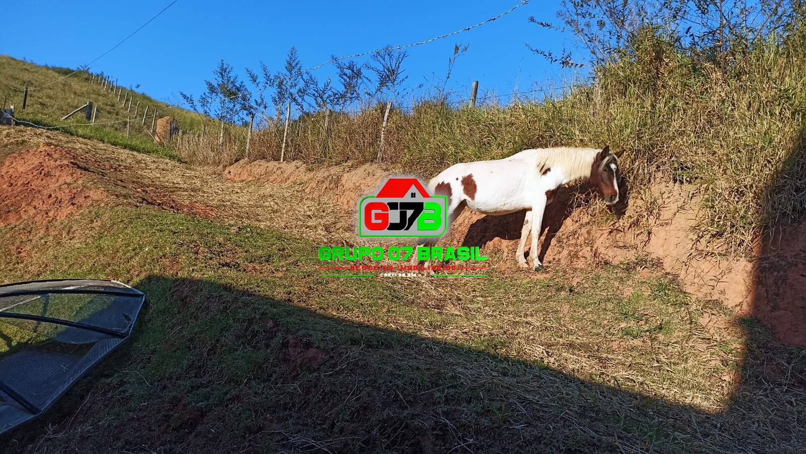 Terreno, 3 hectares - Foto 26