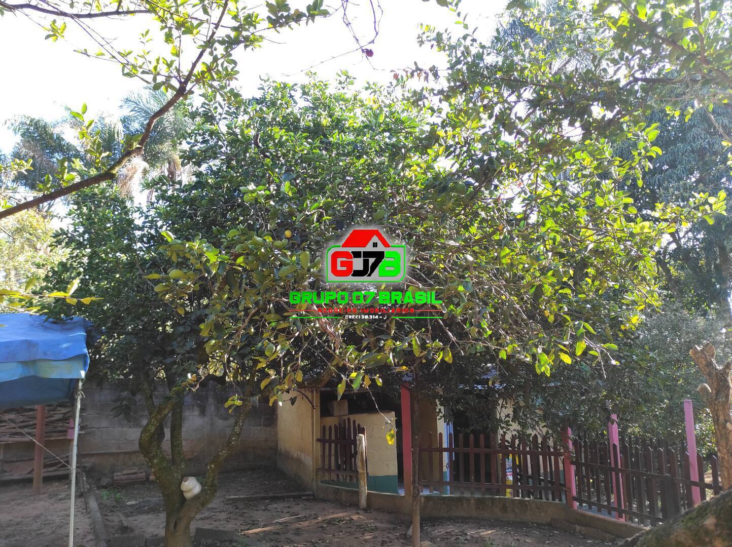 Chácara, 3 quartos, 2000 m² - Foto 4