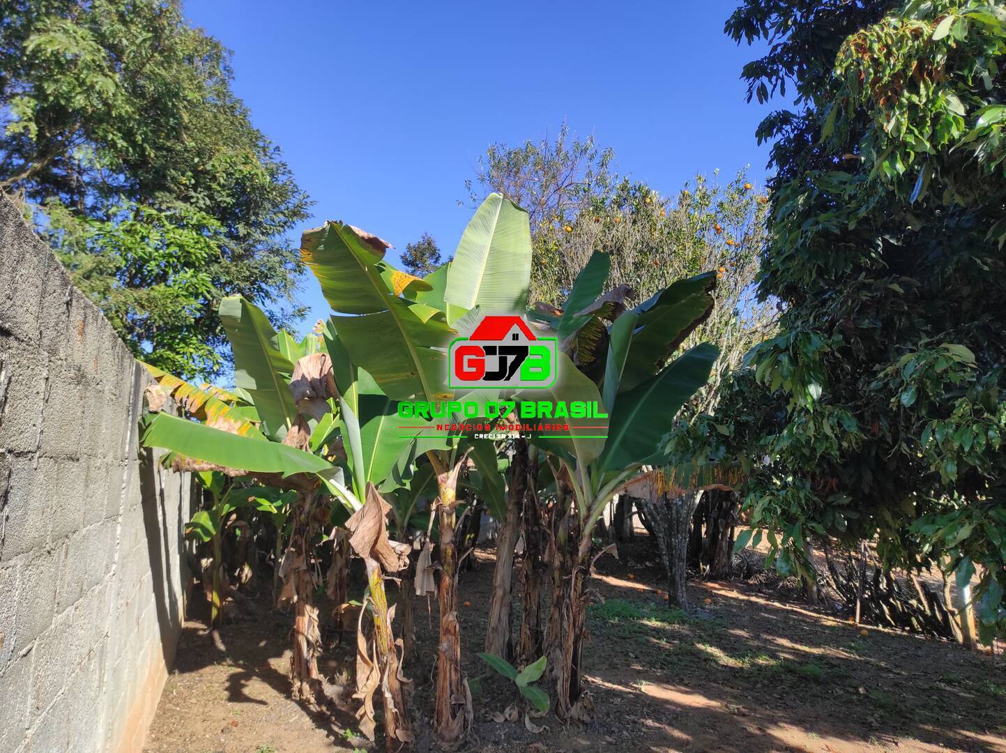 Chácara, 3 quartos, 2000 m² - Foto 21