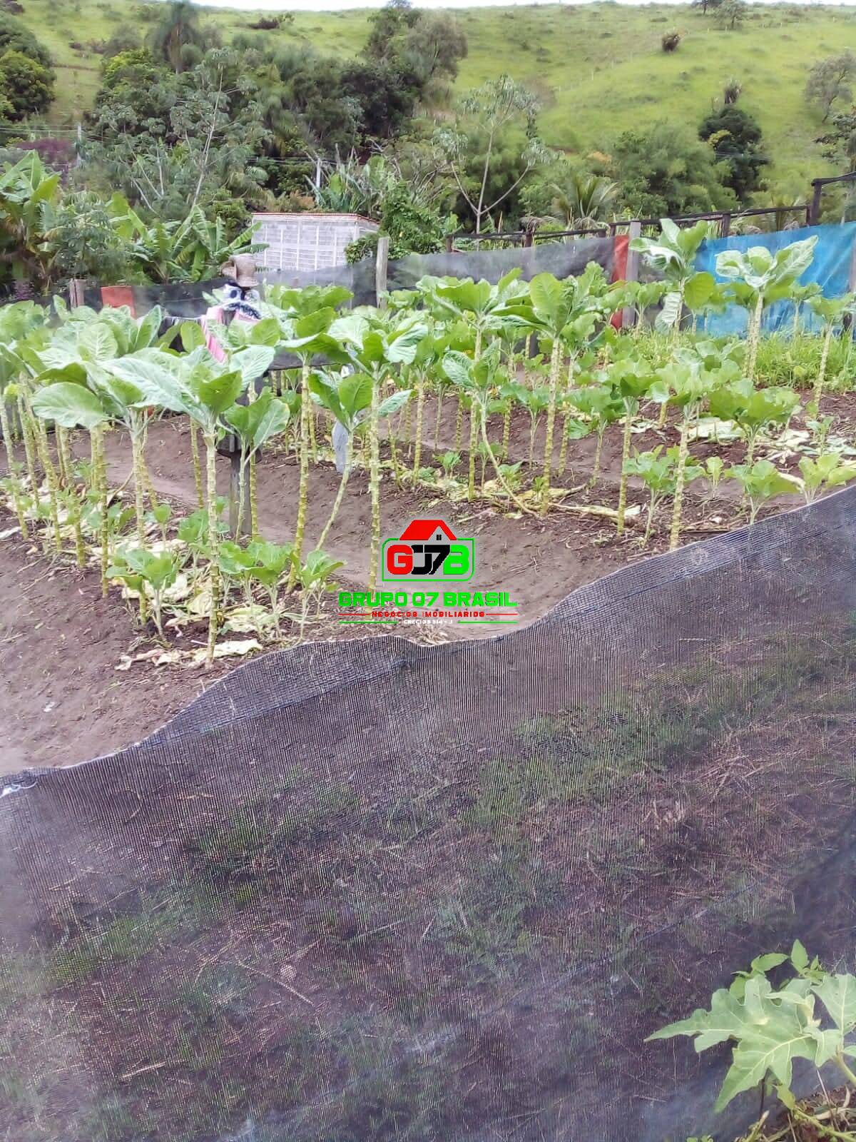 Terreno, 2 hectares - Foto 7
