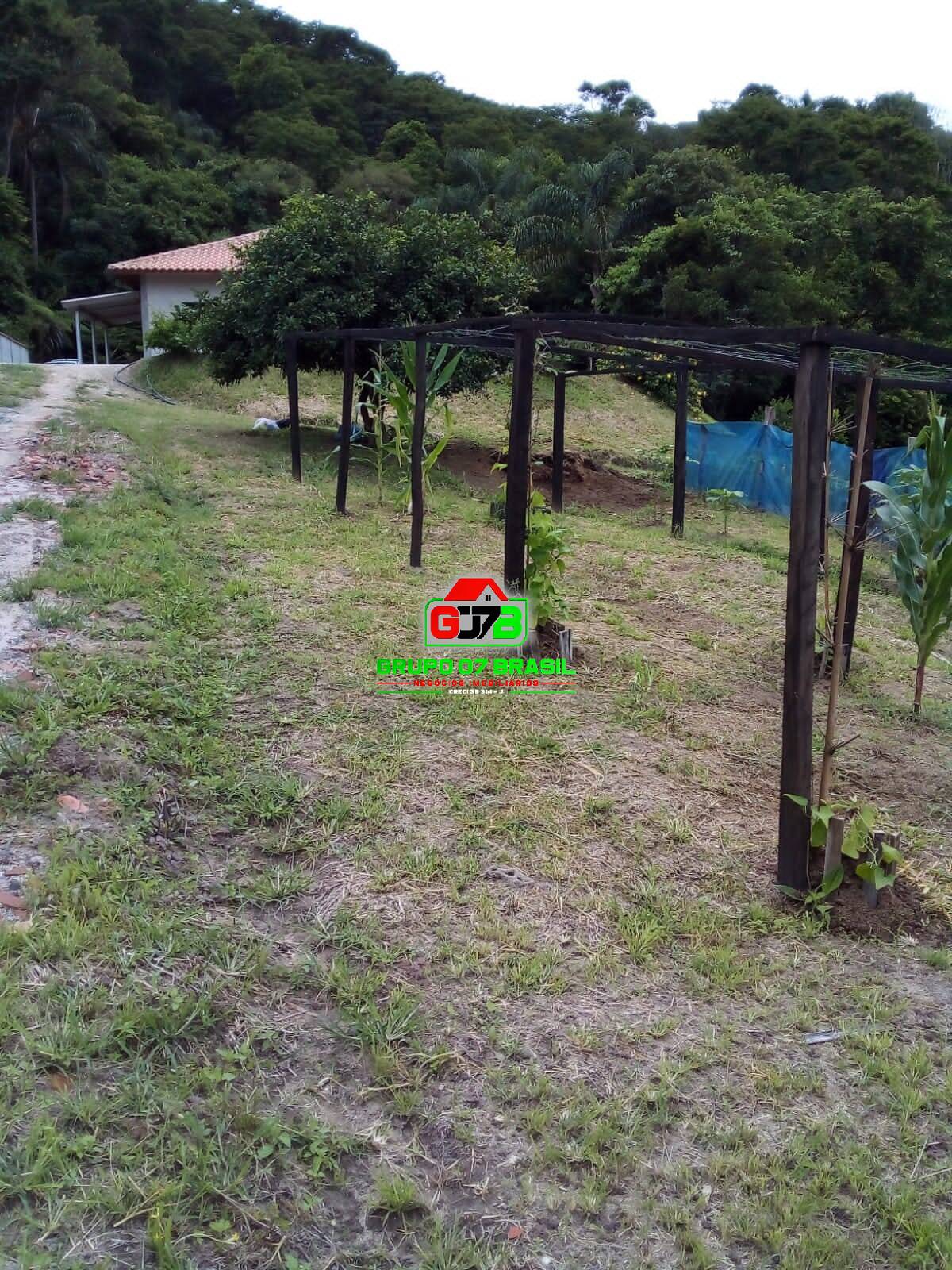 Terreno, 2 hectares - Foto 9