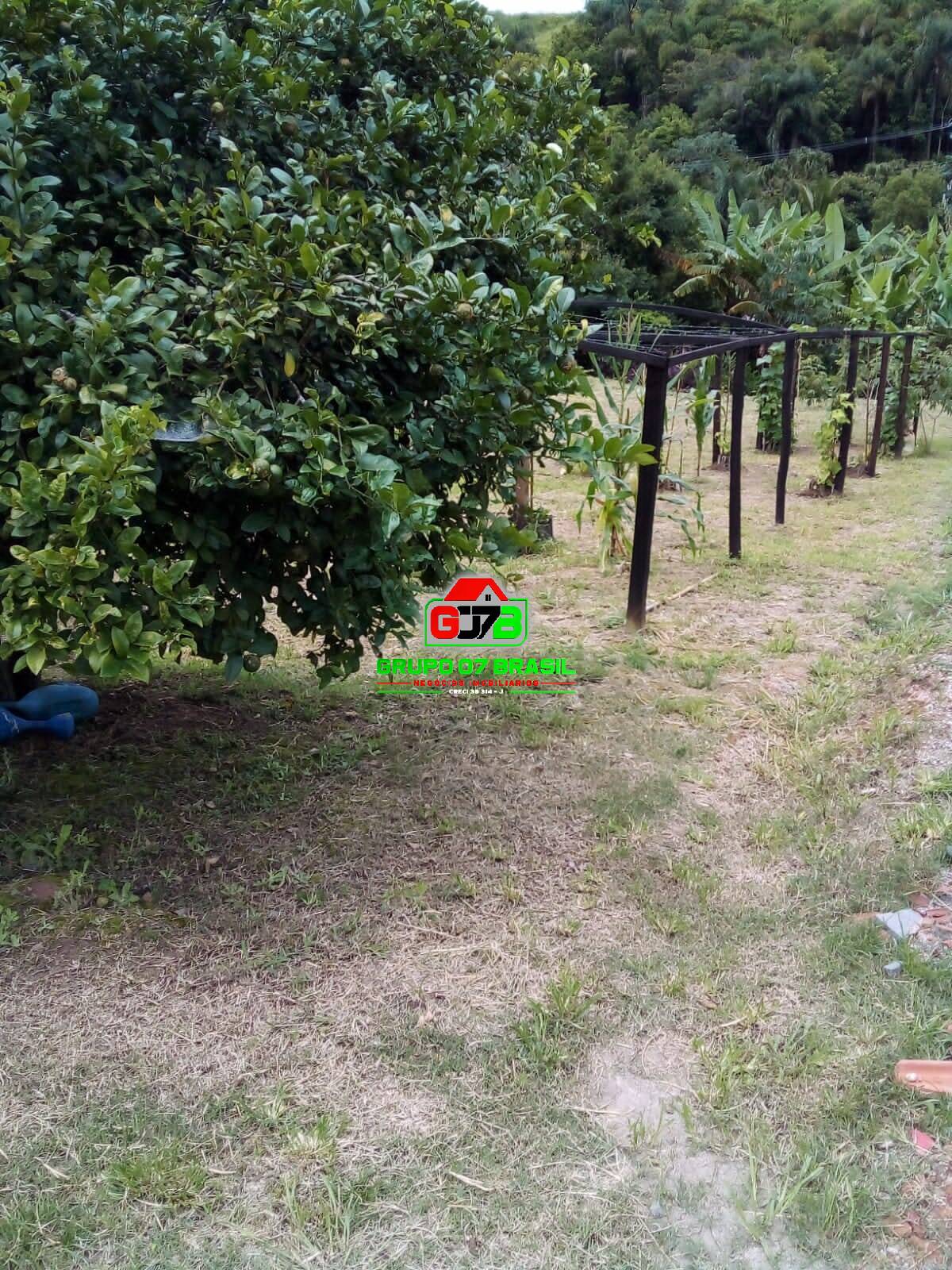 Terreno, 2 hectares - Foto 11
