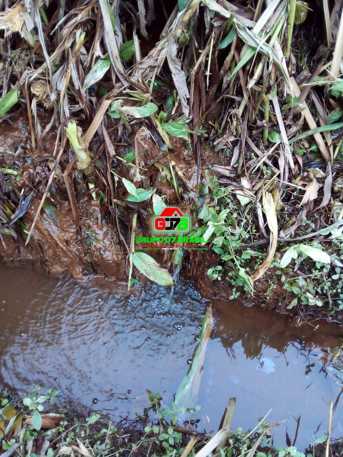 Terreno, 2 hectares - Foto 13