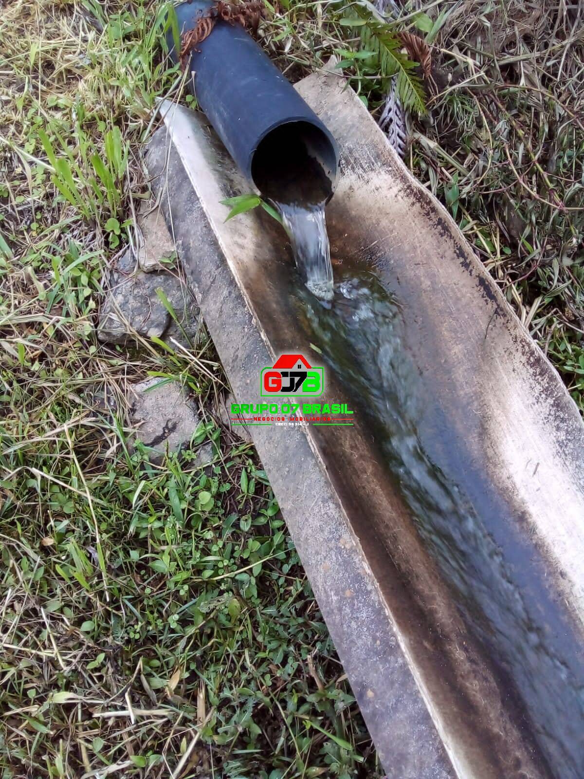 Terreno, 2 hectares - Foto 15