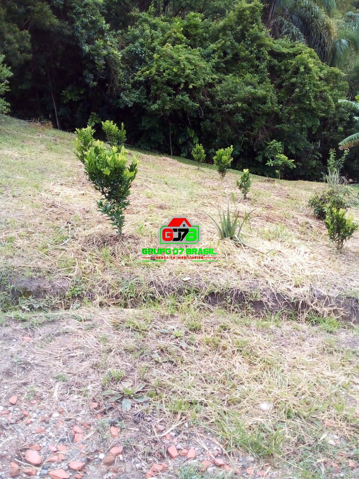 Terreno, 2 hectares - Foto 14