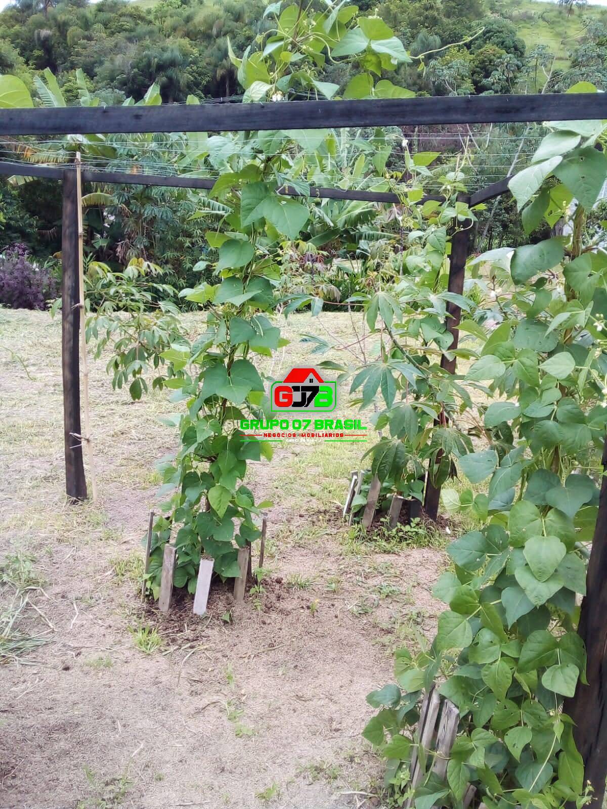 Terreno, 2 hectares - Foto 27