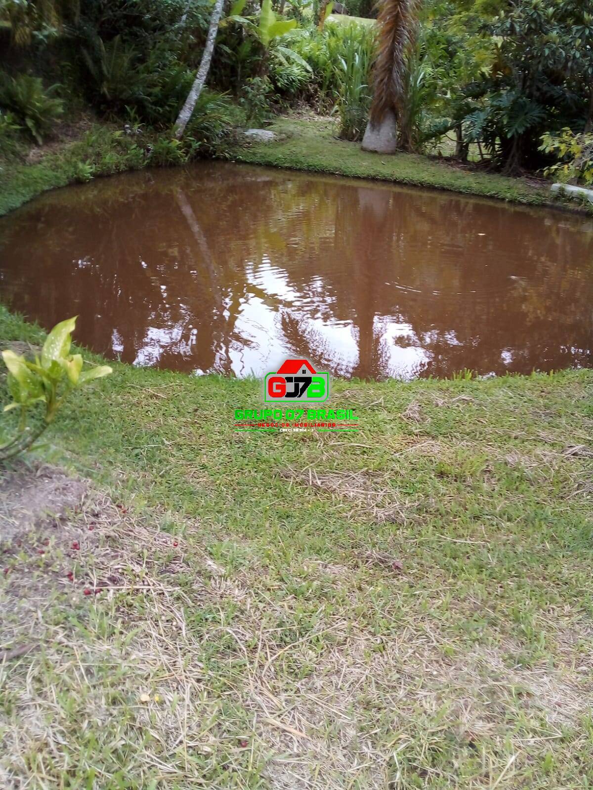 Terreno, 2 hectares - Foto 32
