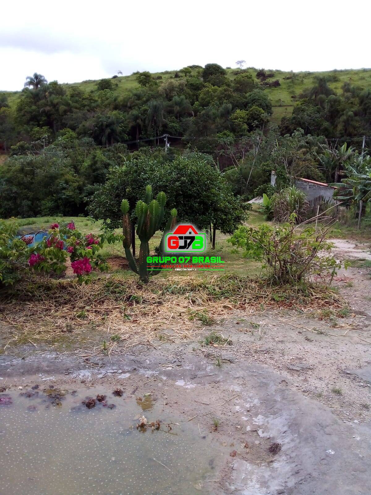 Terreno, 2 hectares - Foto 35