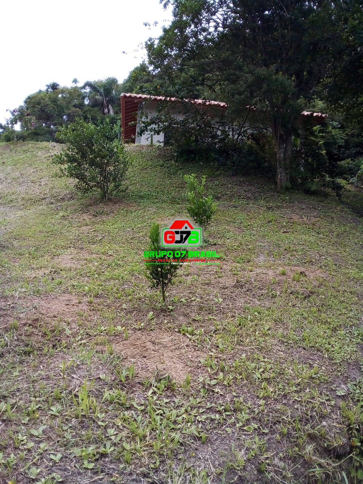 Terreno, 2 hectares - Foto 38
