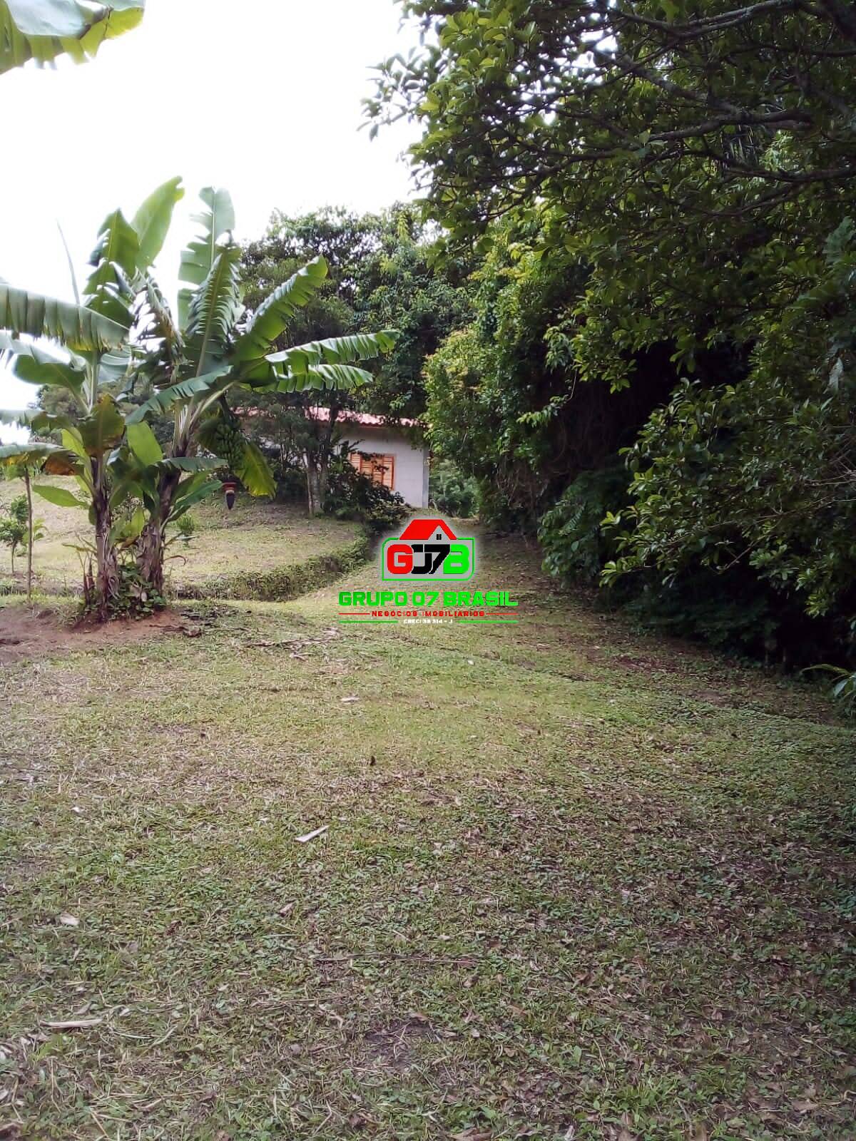 Terreno, 2 hectares - Foto 41