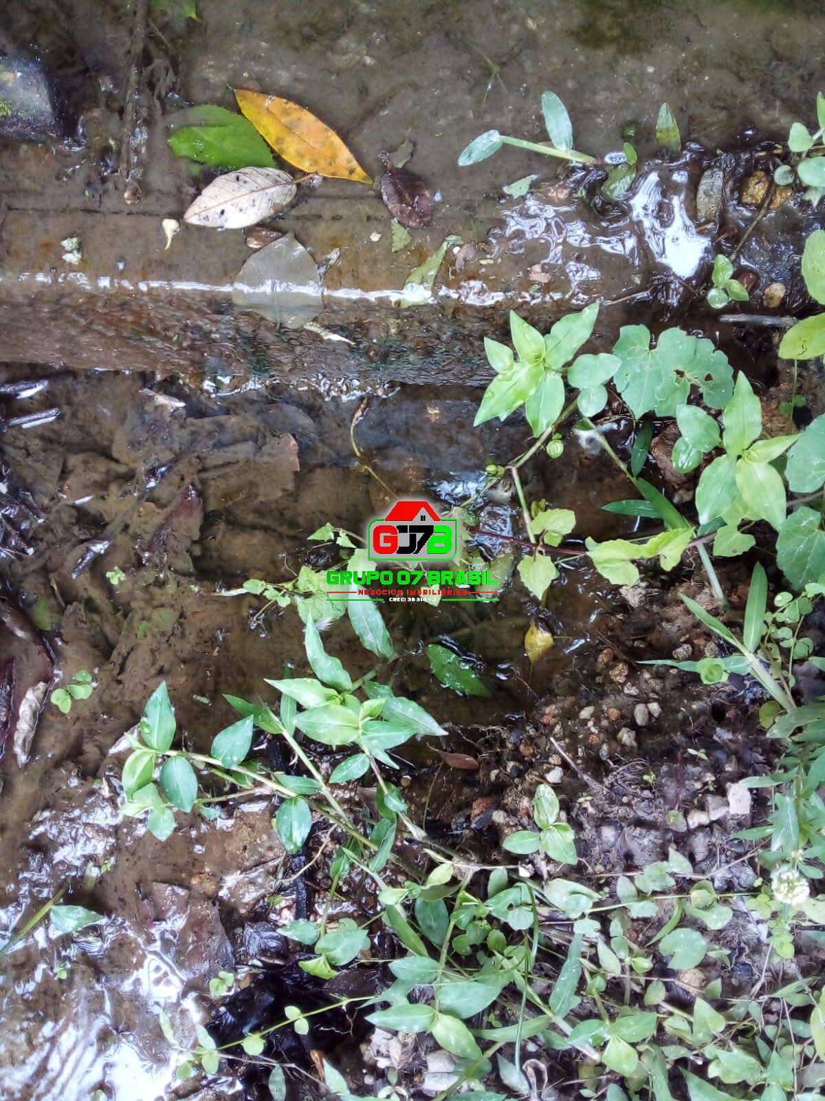 Terreno, 2 hectares - Foto 43
