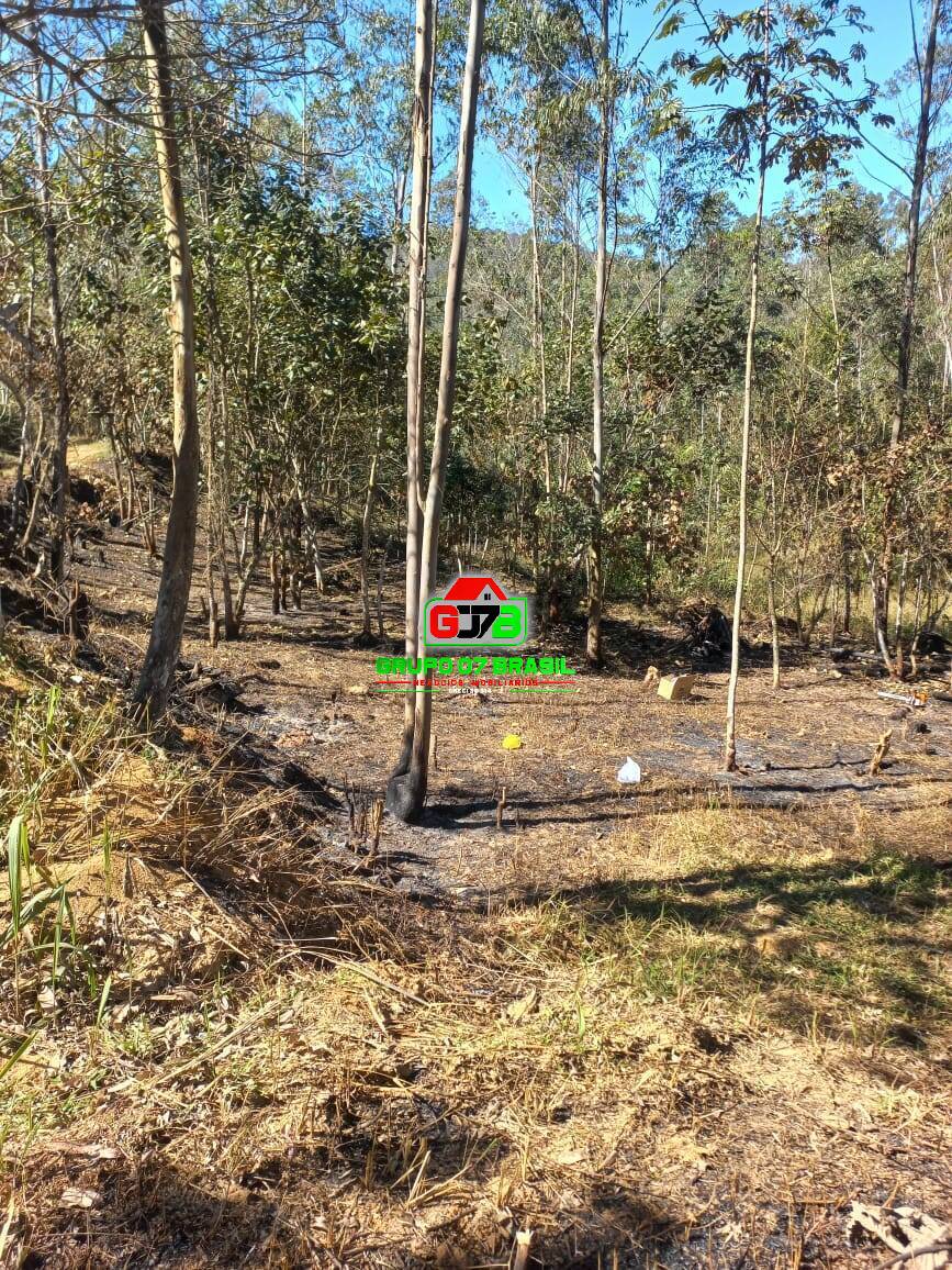 Terreno à venda, 20000m² - Foto 2
