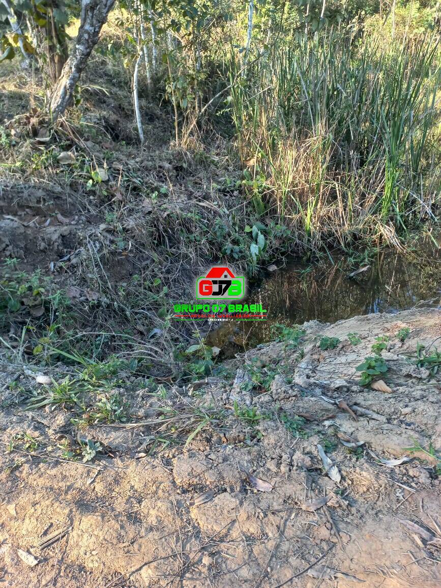 Terreno à venda, 20000m² - Foto 1
