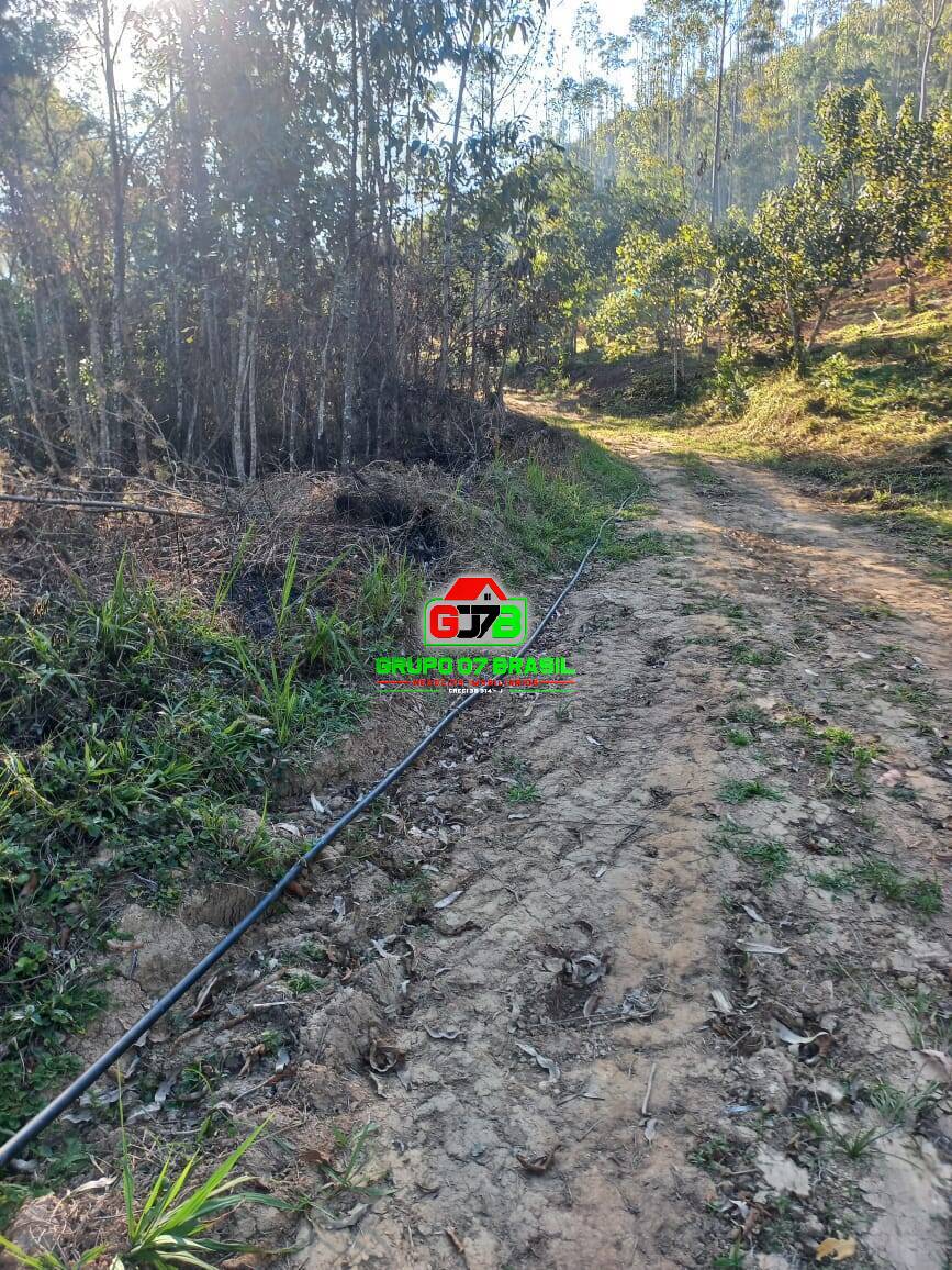 Terreno à venda, 20000m² - Foto 3