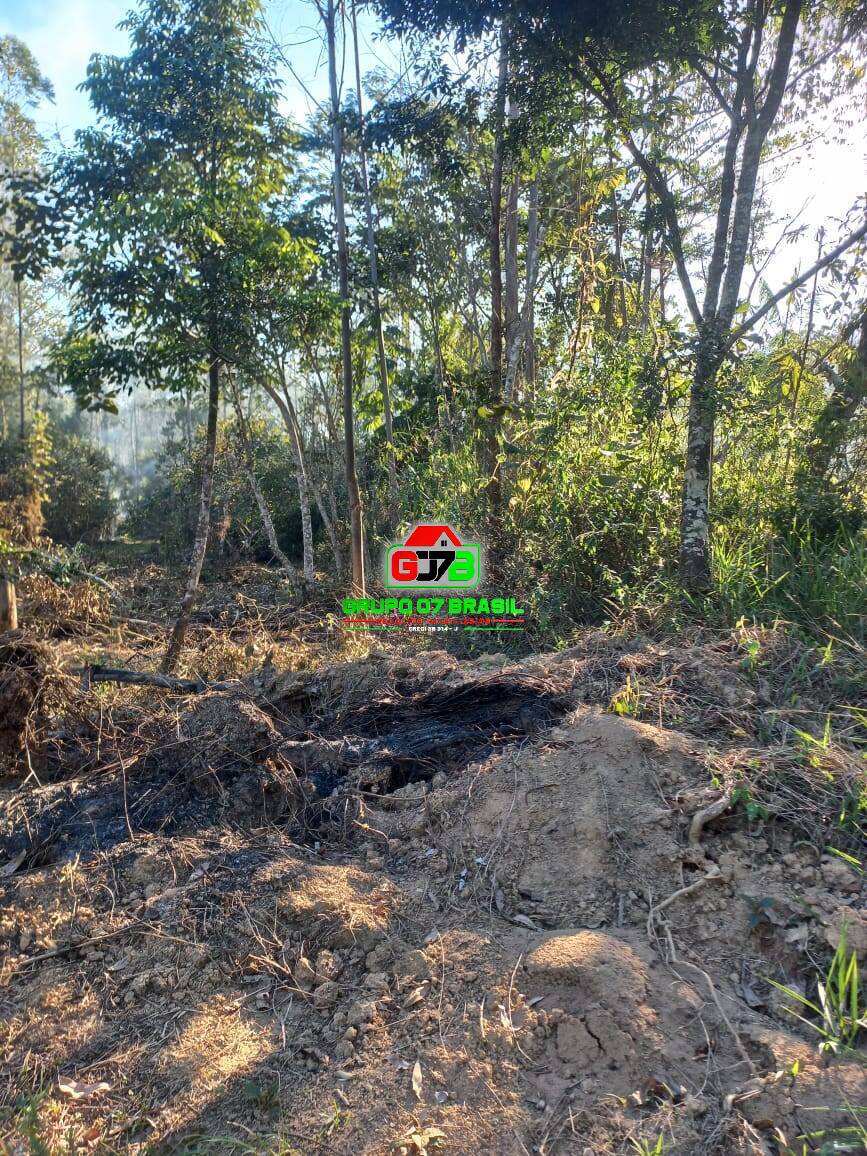 Terreno à venda, 20000m² - Foto 4