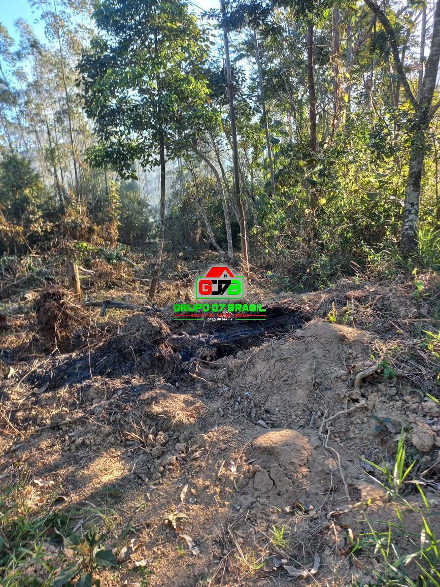 Terreno à venda, 20000m² - Foto 5
