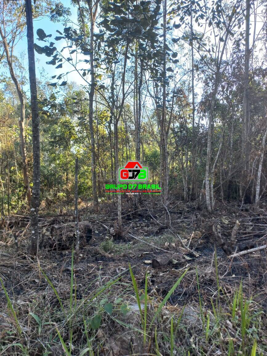 Terreno à venda, 20000m² - Foto 7