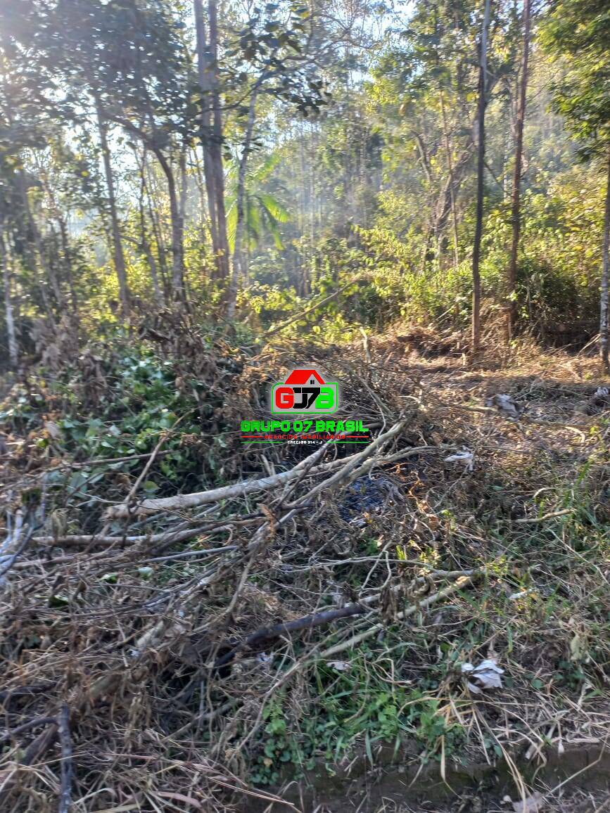 Terreno à venda, 20000m² - Foto 11