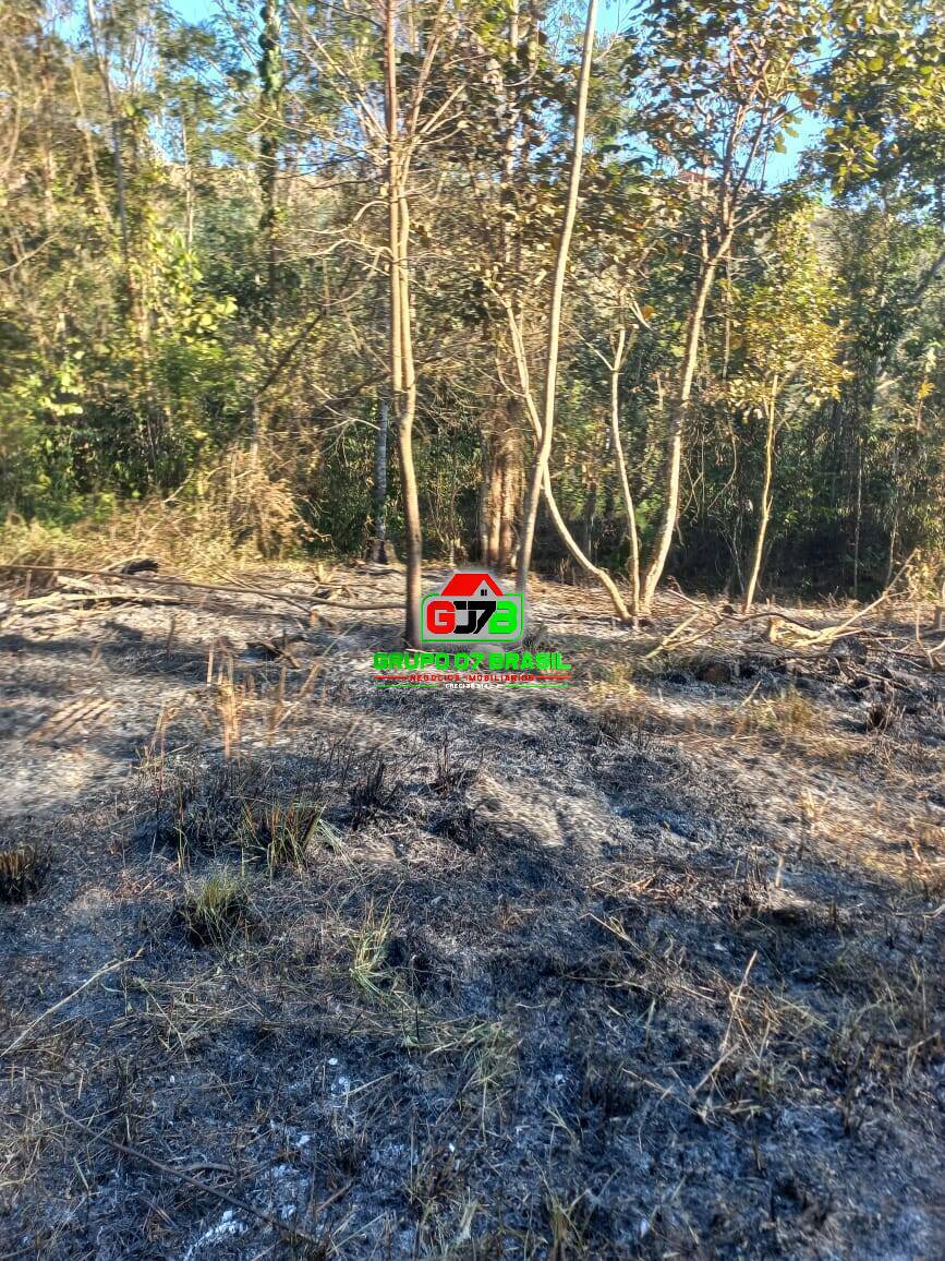 Terreno à venda, 20000m² - Foto 12