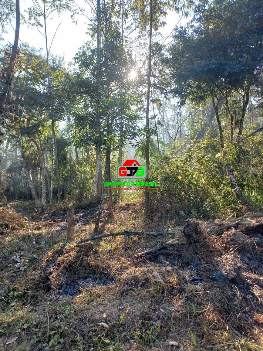 Terreno à venda, 20000m² - Foto 13
