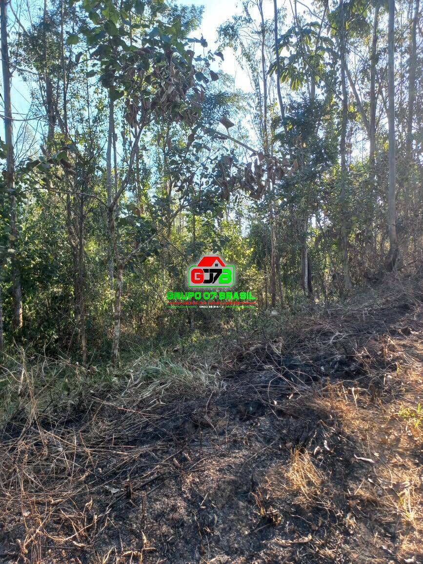 Terreno à venda, 20000m² - Foto 16