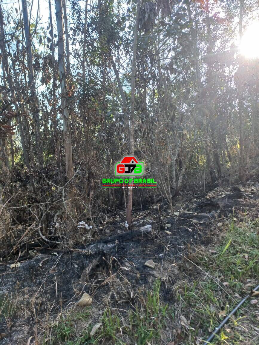 Terreno à venda, 20000m² - Foto 15