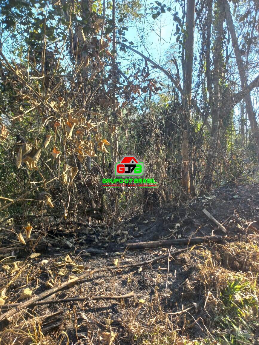 Terreno à venda, 20000m² - Foto 17