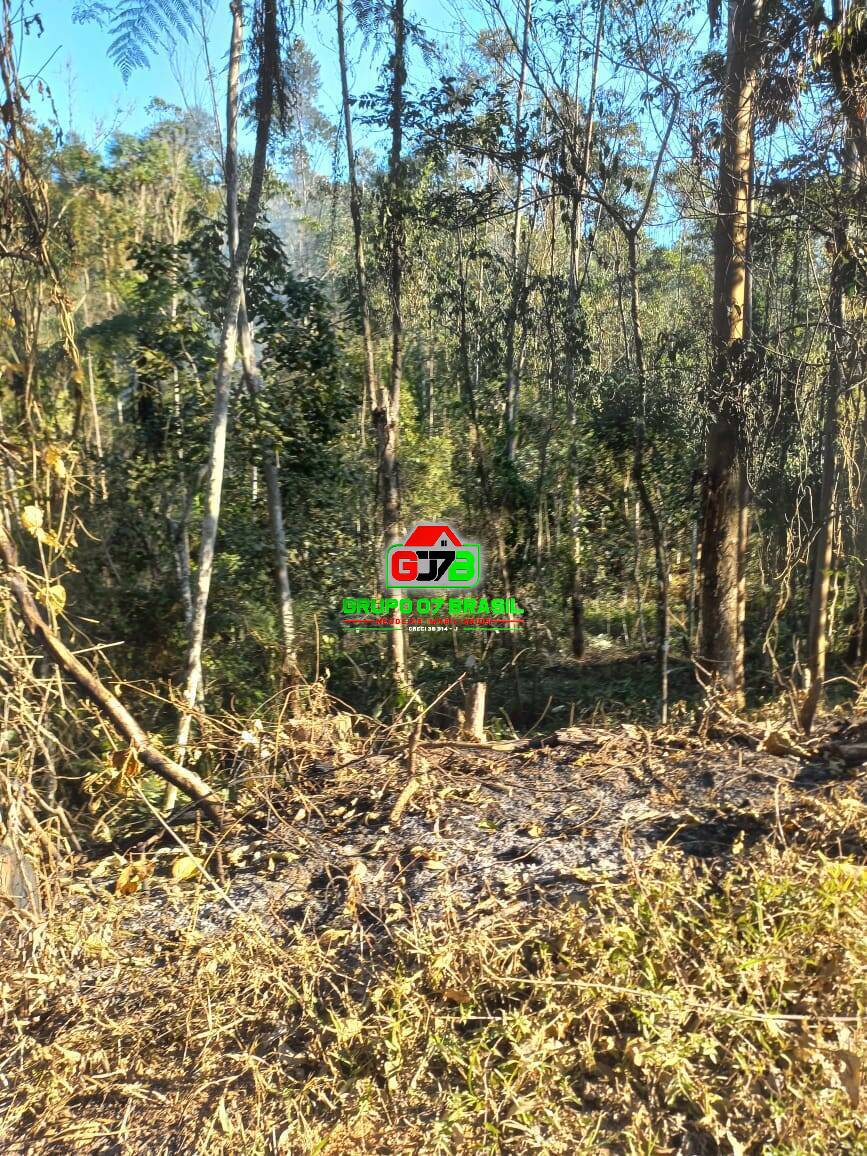 Terreno à venda, 20000m² - Foto 19