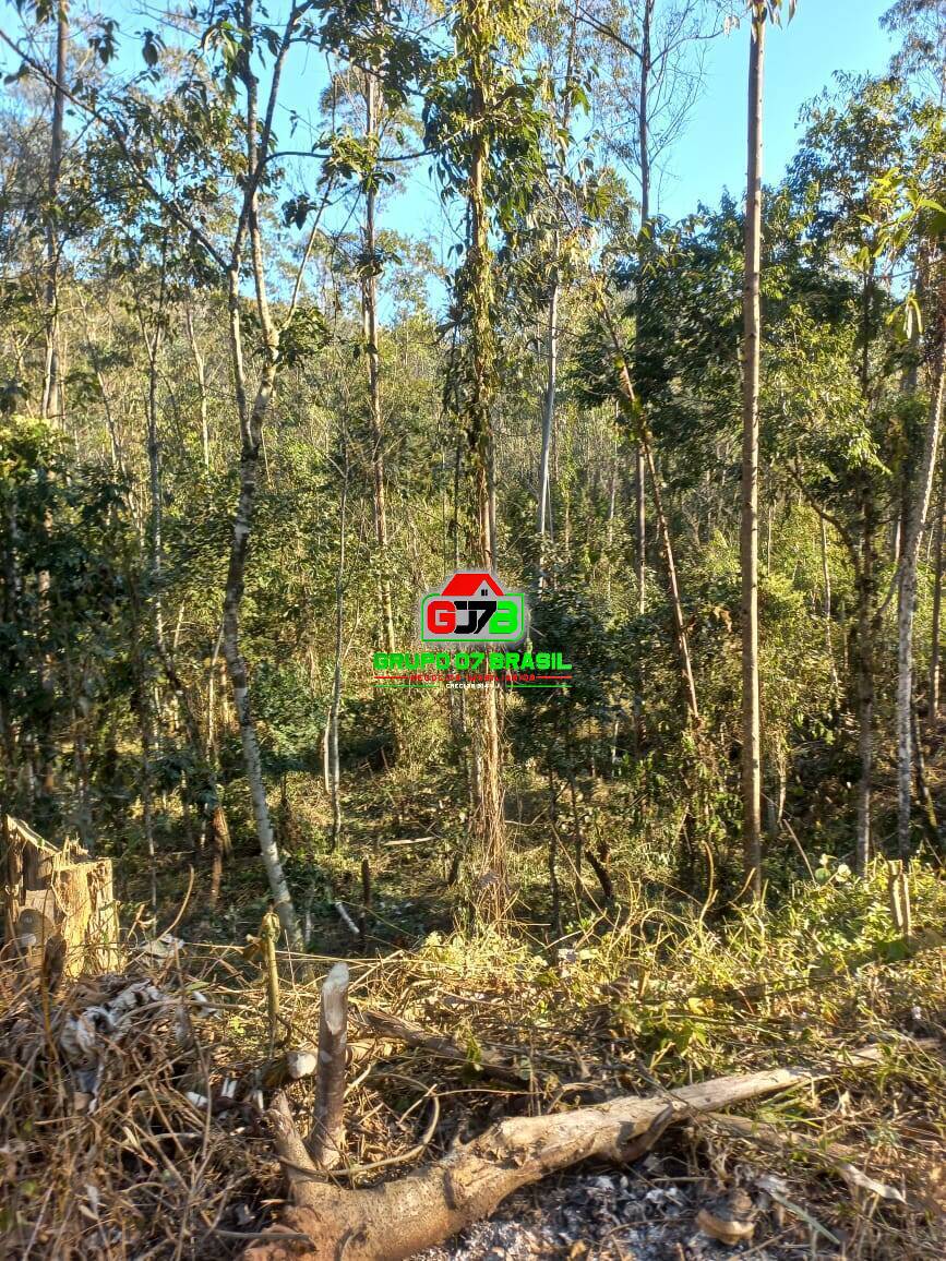 Terreno à venda, 20000m² - Foto 20
