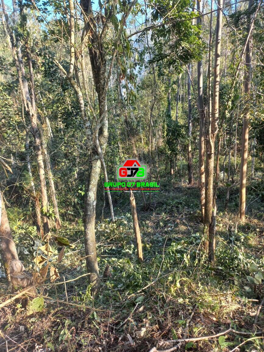 Terreno à venda, 20000m² - Foto 21
