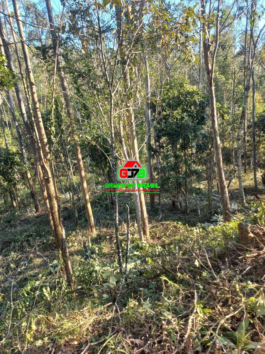 Terreno à venda, 20000m² - Foto 23