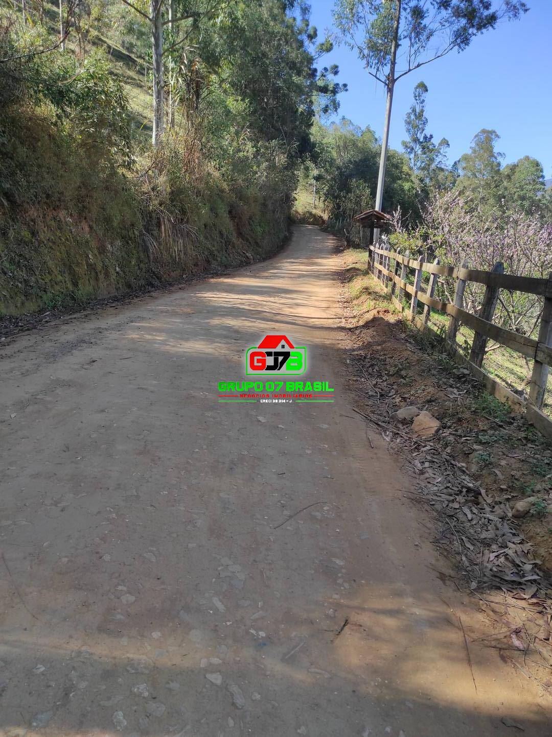 Terreno, 3 hectares - Foto 4