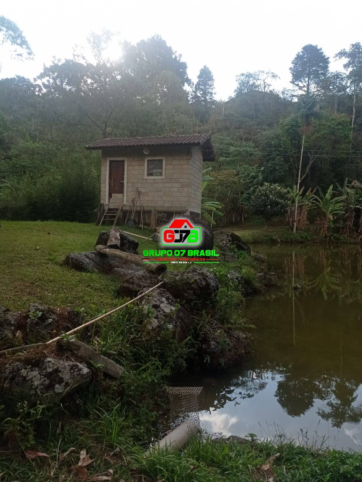 Sítio à venda com 4 quartos, 200m² - Foto 5