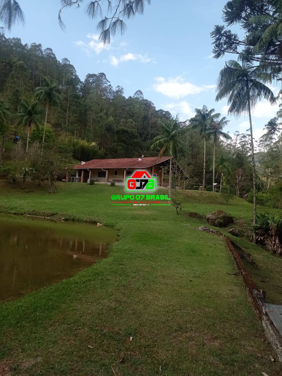 Sítio à venda com 4 quartos, 200m² - Foto 6