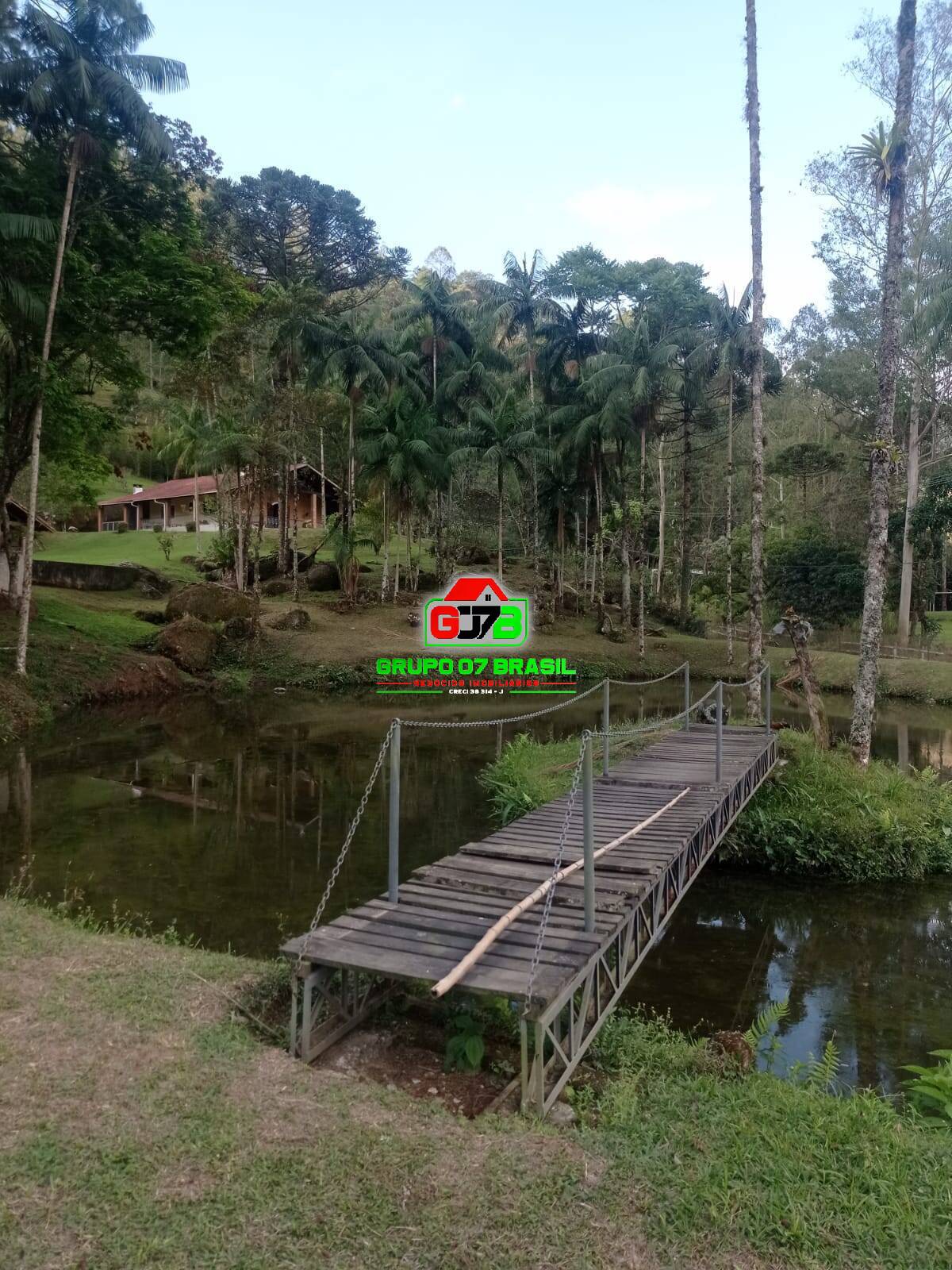 Sítio à venda com 4 quartos, 200m² - Foto 8