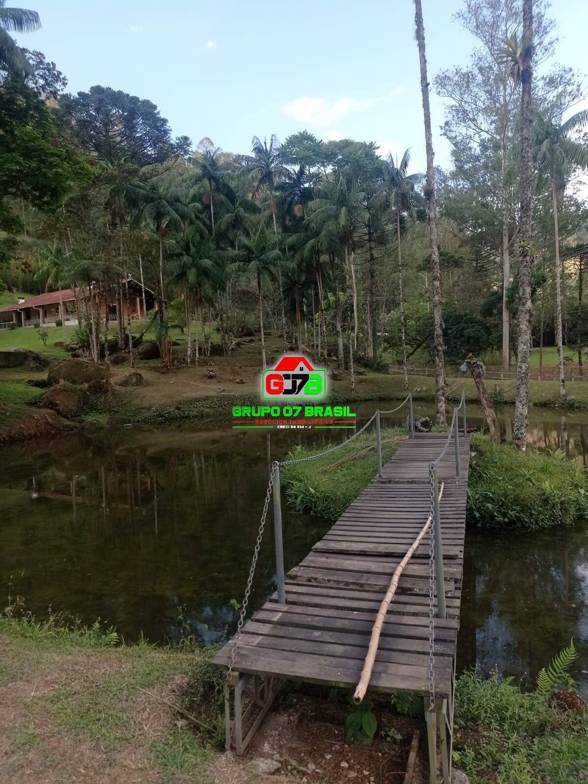 Sítio à venda com 4 quartos, 200m² - Foto 10
