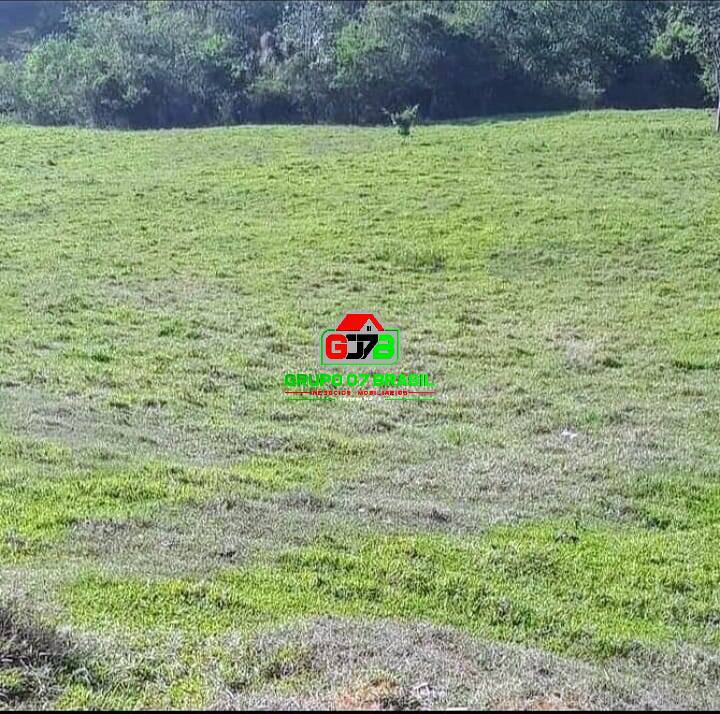 Terreno à venda, 24200m² - Foto 14