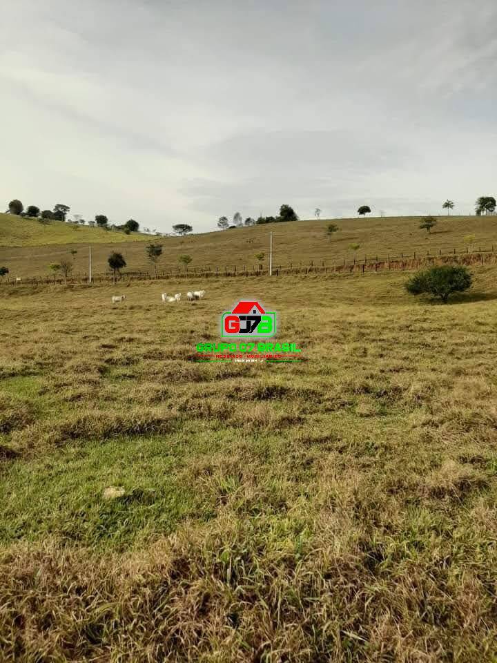 Terreno à venda, 24200m² - Foto 22