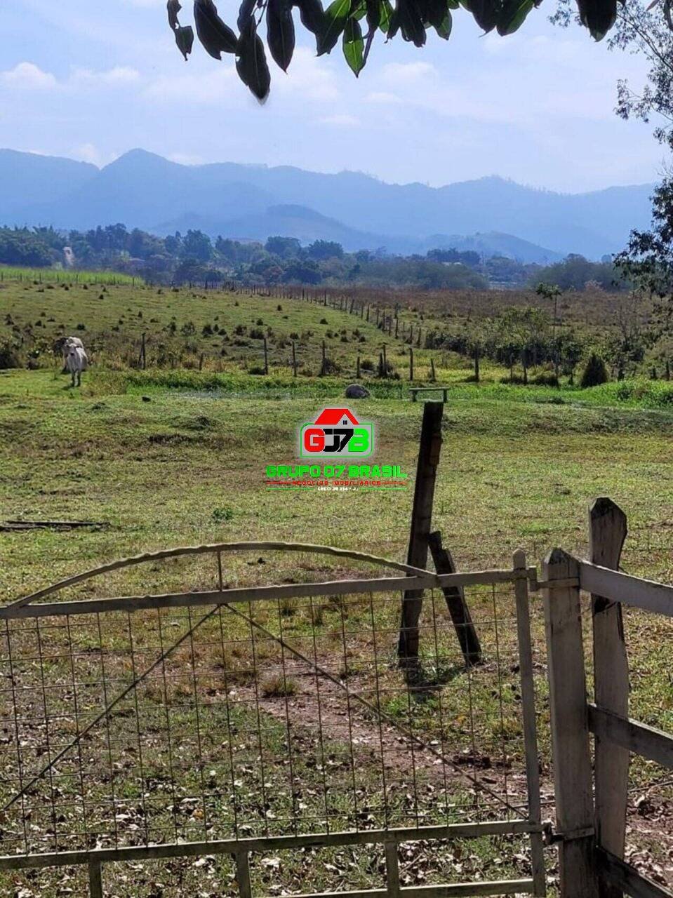 Sítio à venda com 3 quartos, 150m² - Foto 2