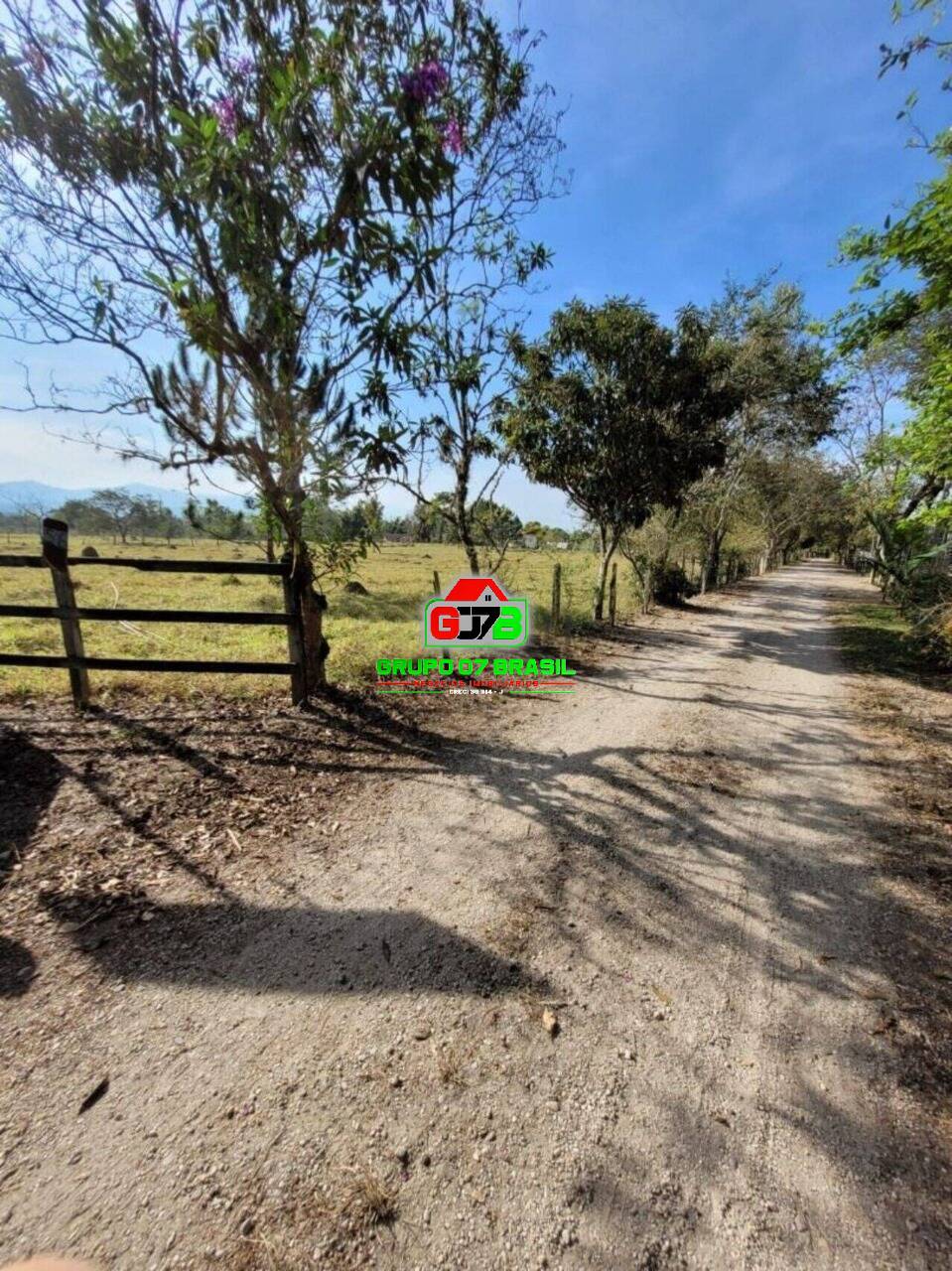Sítio à venda com 3 quartos, 150m² - Foto 7