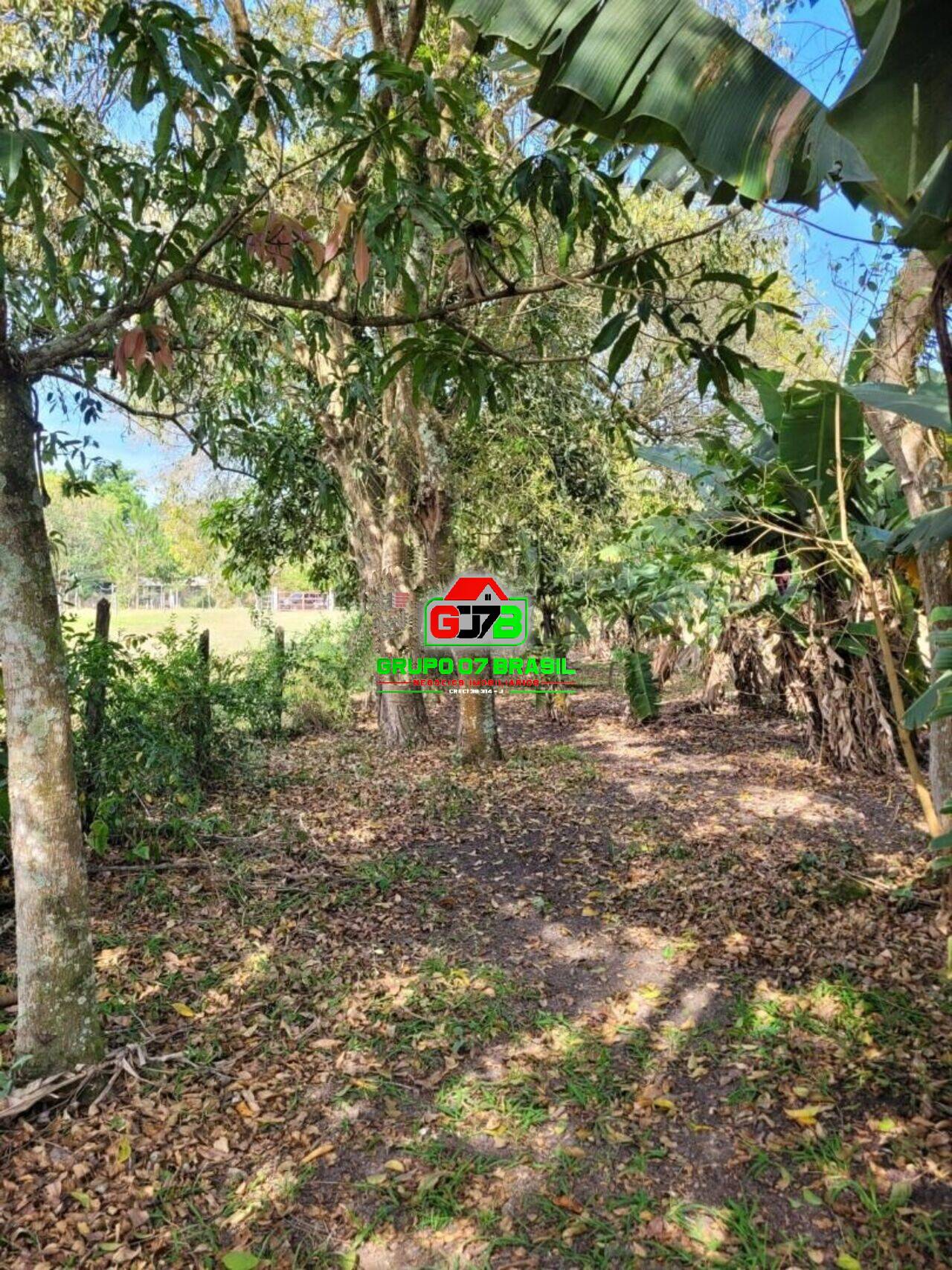 Sítio à venda com 3 quartos, 150m² - Foto 11