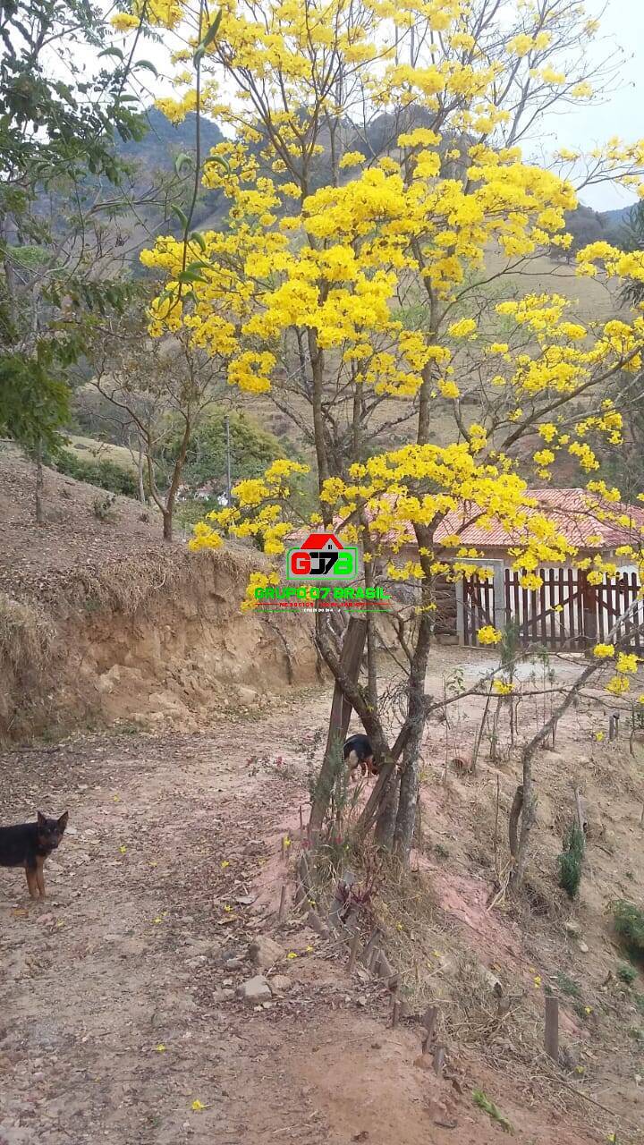 Sítio, 2 quartos, 1 hectares - Foto 6