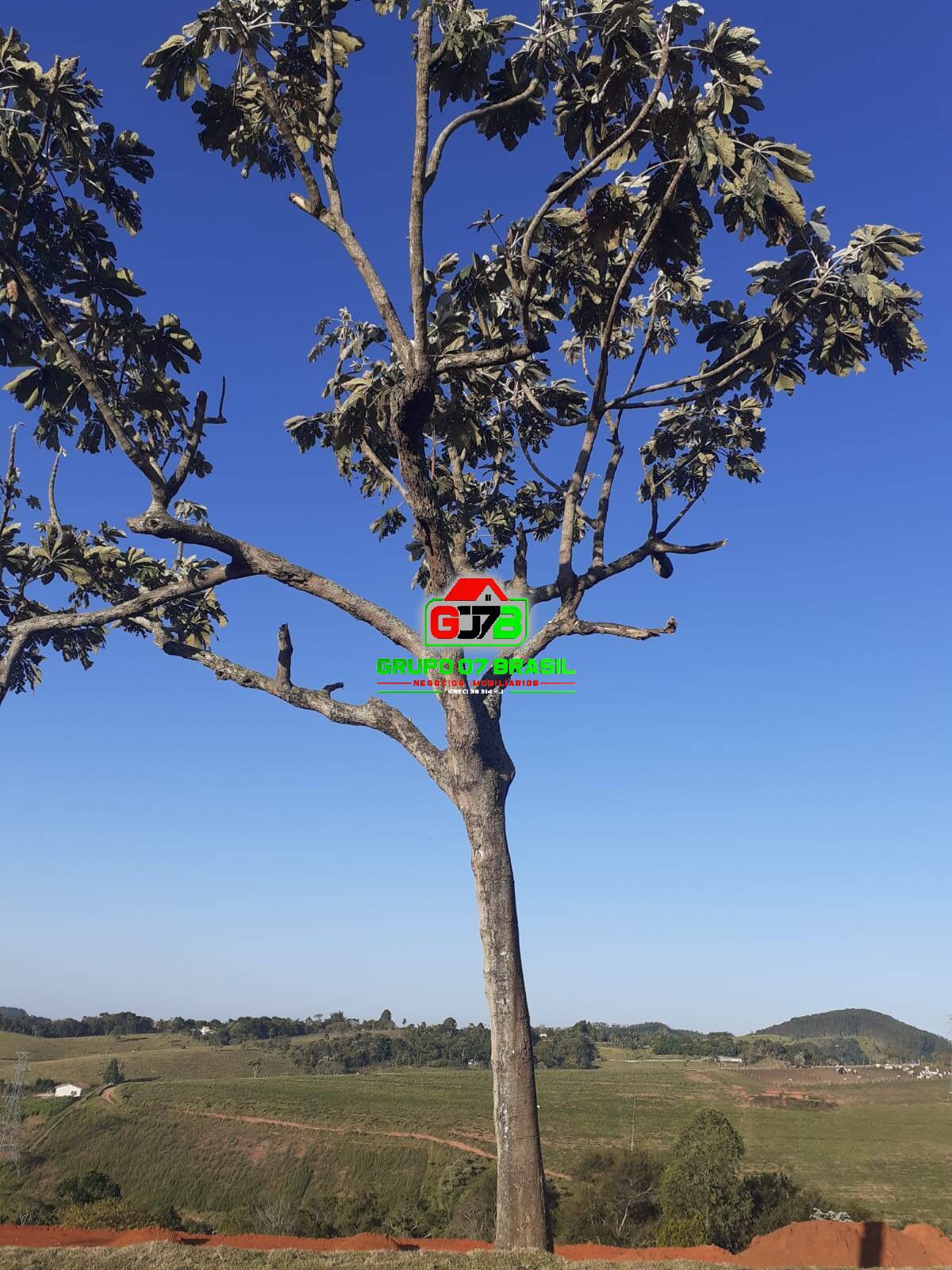 Terreno, 1000 m² - Foto 10