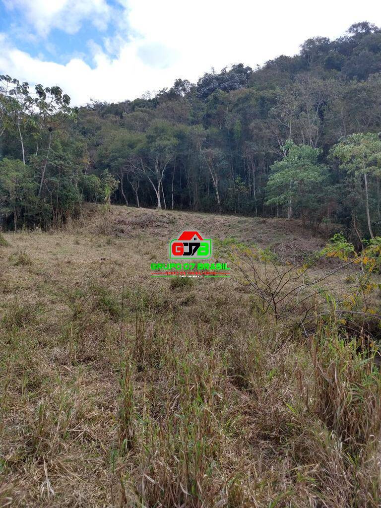 Terreno à venda, 6000m² - Foto 1
