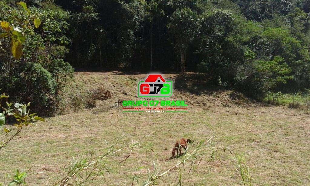 Terreno à venda, 6000m² - Foto 14