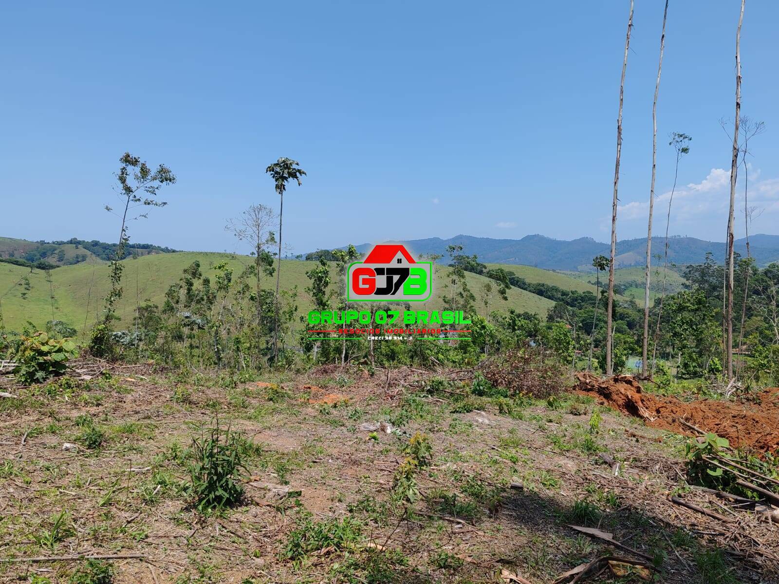Terreno à venda, 20000m² - Foto 5